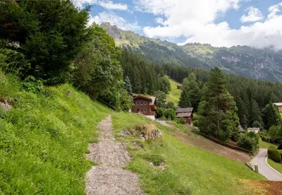 Naturlandschaft in der Nähe der Ferienwohnung