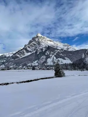 Naturlandschaft in der Nähe der Ferienwohnung