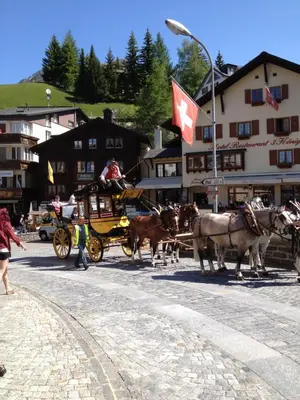 Tiere im Gasthaus oder in der Nähe