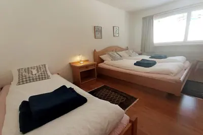 Ein Bett oder Betten in einem Zimmer der Unterkunft Sunny 5 guests apartment by Moosfluh gondola