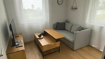 TV/Unterhaltungsangebot in der Unterkunft FALKE Studio in Spiez