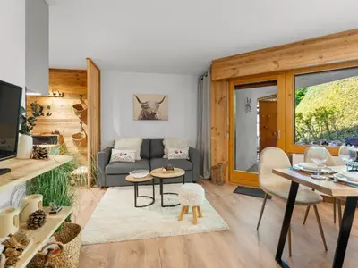 TV/Unterhaltungsangebot in der Unterkunft Apartment Rochemont B26 by Interhome