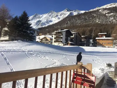 Bergruh im Winter