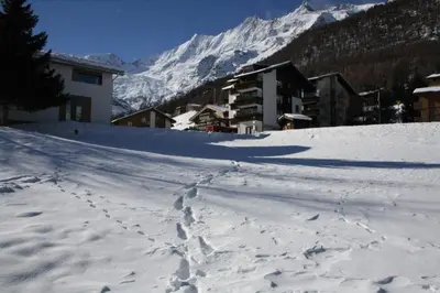 Bergruh im Winter