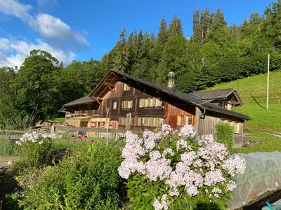 Naturlandschaft in der Nähe des Ferienhauses