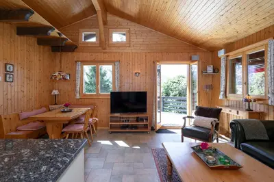 TV/Unterhaltungsangebot in der Unterkunft Chalet üfem Bord