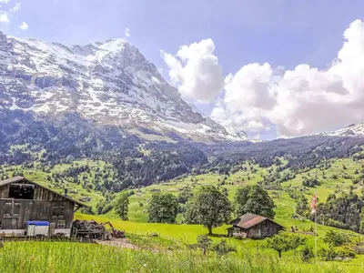 Naturlandschaft in der Nähe der Ferienwohnung
