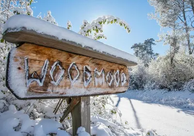 WoodMood Cabin with Spa im Winter