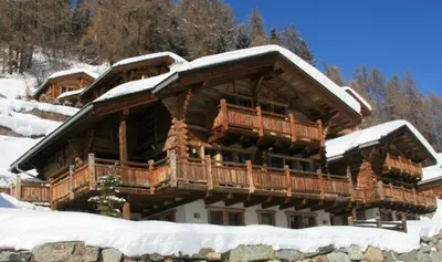 Alouette im Winter