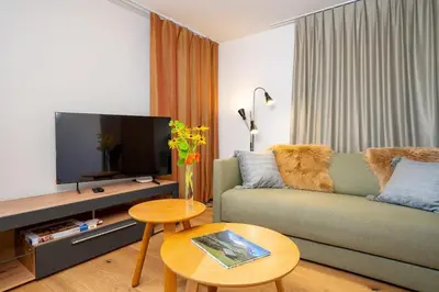 TV/Unterhaltungsangebot in der Unterkunft Mountain View Studio Adelboden Next to Gondola & Spa