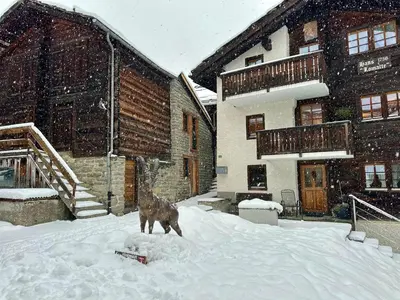 Tiny House IBEX im Winter