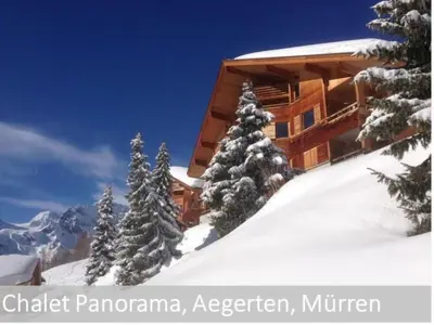 Apartment Panorama 2 Bett Wohnung by Interhome im Winter