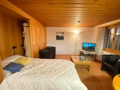 TV/Unterhaltungsangebot in der Unterkunft Apartment Chalet Barbara by Interhome