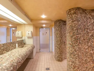 Ein Badezimmer in der Unterkunft Apartment Wohnung Edelweiss direkt in 4 Sterne Hotel by Interhome