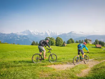 Naturlandschaft in der Nähe der Ferienwohnung