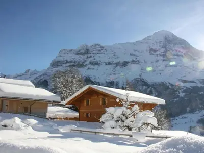 Apartment Chalet Bärgbächli by Interhome im Winter