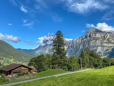 Naturlandschaft in der Nähe des Ferienhauses