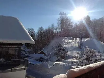 Apartment Glyssen 22 Schwanden by Interhome im Winter