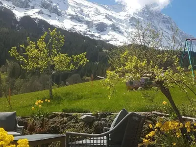 Ein allgemeiner Bergblick oder ein Berglick von der Ferienwohnung aus