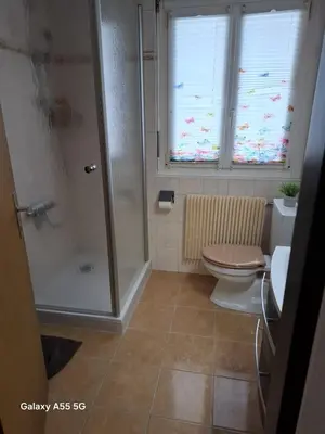 Ein Badezimmer in der Unterkunft appartement calme et cosi à Nax