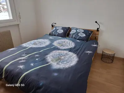 Ein Bett oder Betten in einem Zimmer der Unterkunft appartement calme et cosi à Nax