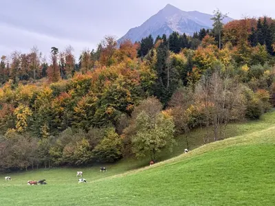 Naturlandschaft in der Nähe der Ferienwohnung