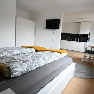 Sunny Renovated Alpine Apartment by Interlaken