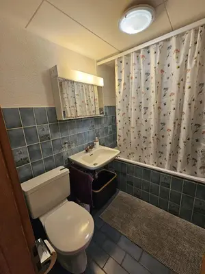 Ein Badezimmer in der Unterkunft appartement Veysonnaz, Valais, ski, mountain biking, raquettes, balades