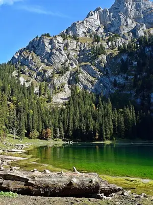 Naturlandschaft in der Nähe des Chalets