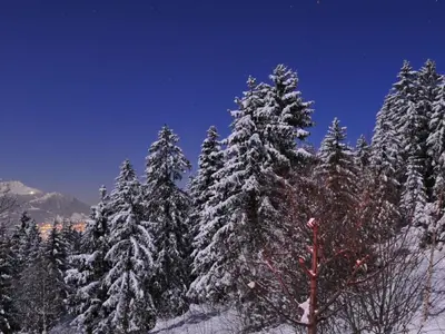 Holiday Home Chalet Mein Traum by Interhome im Winter