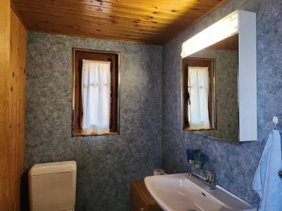 Ein Badezimmer in der Unterkunft Apartment Typische Wohnung Le Ver Luisant- Val d'Hérens by Interhome