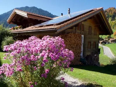 Ein allgemeiner Bergblick oder ein Berglick von der Ferienwohnung aus