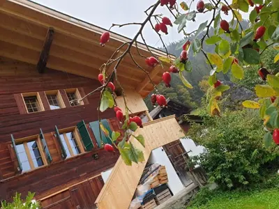 Ein Garten an der Unterkunft Holiday Home in Grubenwald für max- 3 - 4 Pers- by Interhome