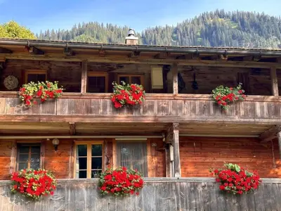 Naturlandschaft in der Nähe der Ferienwohnung