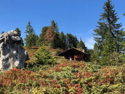 Naturlandschaft in der Nähe der Ferienwohnung