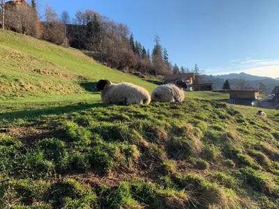 Naturlandschaft in der Nähe des Ferienhauses