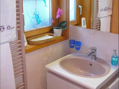 Ein Badezimmer in der Unterkunft Apartment Chalet Birkli by Interhome