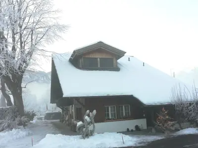 Apartment Steinideen by Interhome im Winter