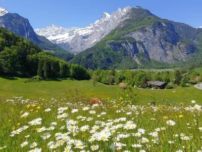 Naturlandschaft in der Nähe der Ferienwohnung