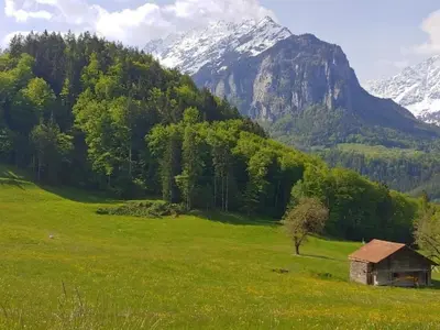 Naturlandschaft in der Nähe der Ferienwohnung