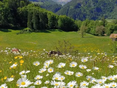 Naturlandschaft in der Nähe der Ferienwohnung