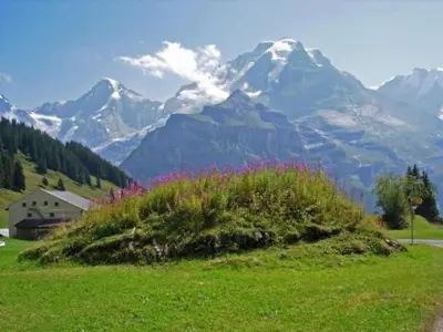 Naturlandschaft in der Nähe der Ferienwohnung