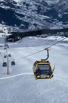 Apartment Chalet Herrschaft 4 Bett Wohnung by Interhome im Winter