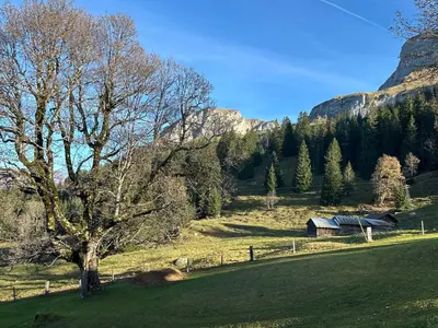 Naturlandschaft in der Nähe der Ferienwohnung