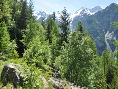 Naturlandschaft in der Nähe der Ferienwohnung