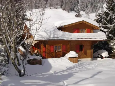 Exclusive Charming 4 Bedroom Chalet near Gstaad im Winter