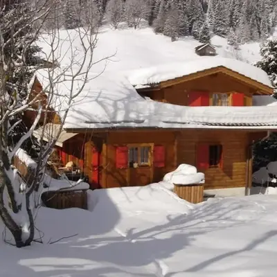 Exclusive Charming 4 Bedroom Chalet near Gstaad