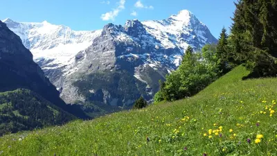 Naturlandschaft in der Nähe der Ferienwohnung
