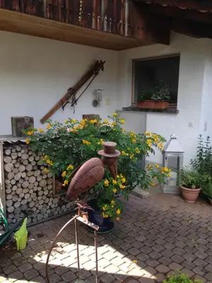 Ein Garten an der Unterkunft Ferienwohnung Milchgaessli