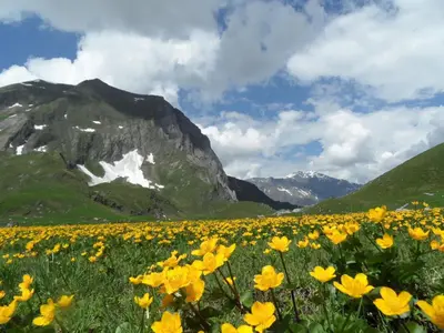 Naturlandschaft in der Nähe der Ferienwohnung